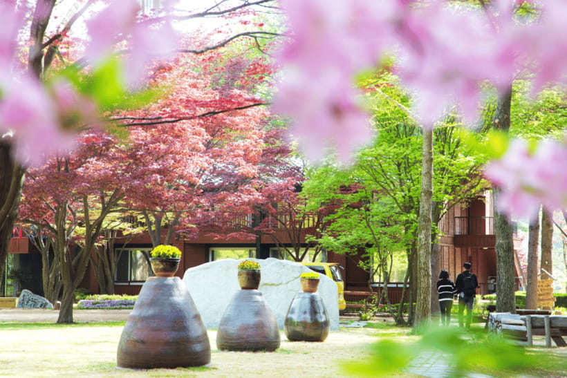 Seoul: Samaksan Cable Car & Nami with Alpaca World/Railbike - The day at a glance