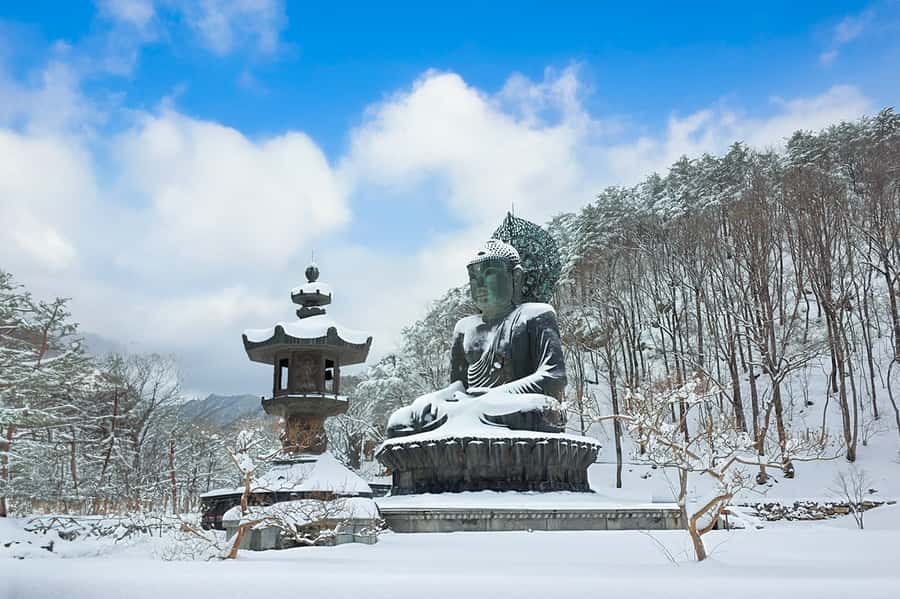 Seoul: Seorak Mountain+Nami Island+Eobi Ice Valley Tour - Why this winter day works from Seoul