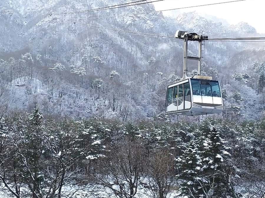 Seoul: Seorak Mountain+Nami Island+Eobi Ice Valley Tour - Nami Island: snow, tree lanes, and a ferry crossing