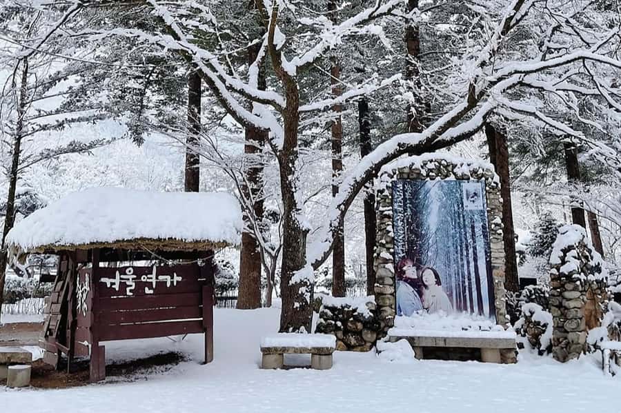 Seoul: Seorak Mountain+Nami Island+Eobi Ice Valley Tour - Eobi Ice Valley: the day’s most striking winter photo