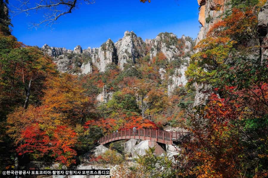 Seoul: Seorak Mountain+Nami Island+Eobi Ice Valley Tour - The guide style and time on your own