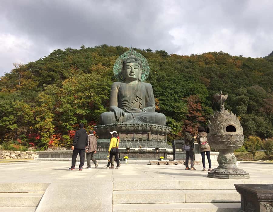 Seoul: Seorak Mountain+Nami Island+Eobi Ice Valley Tour - What the $79 price really covers