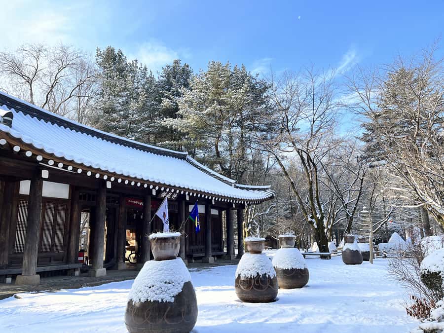 Seoul: Seorak Mountain+Nami Island+Eobi Ice Valley Tour - Who should choose a slower alternative