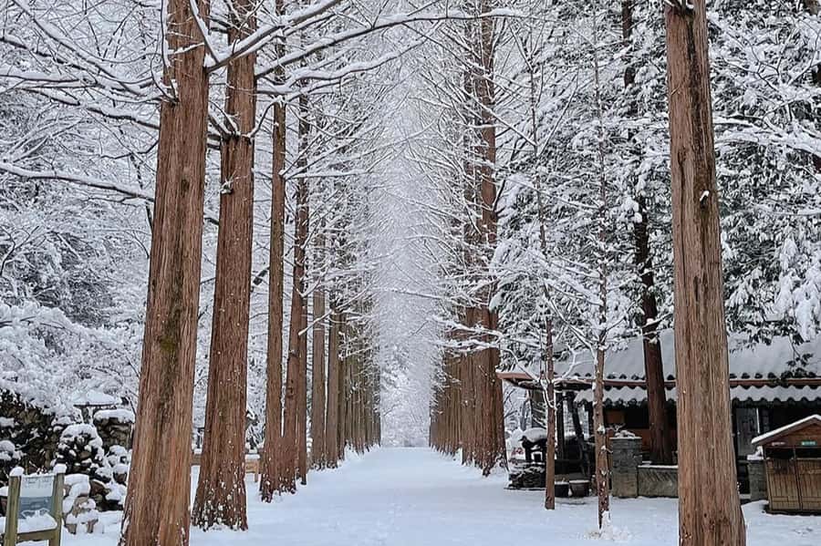 Seoul: Seorak Mountain+Nami Island+Eobi Ice Valley Tour - Practical advice for making the day easier