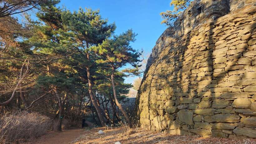 Seoul: Services of a Local for a Day (Paperwork/Tour/Fun) - What kind of Seoul experience is this?