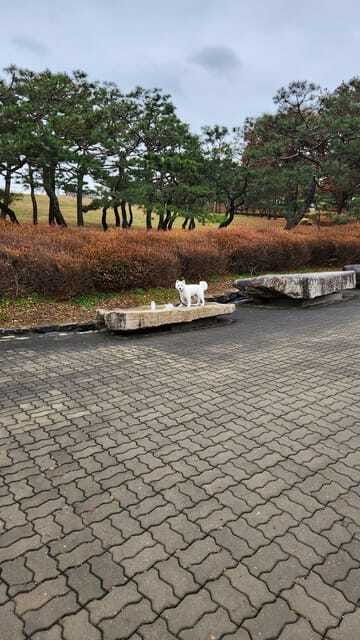 Seoul: Services of a Local for a Day (Paperwork/Tour/Fun) - Using the service for translation and paperwork