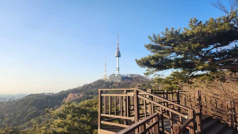 Seoul: Services of a Local for a Day (Paperwork/Tour/Fun) - Timing, meeting points, and practical planning