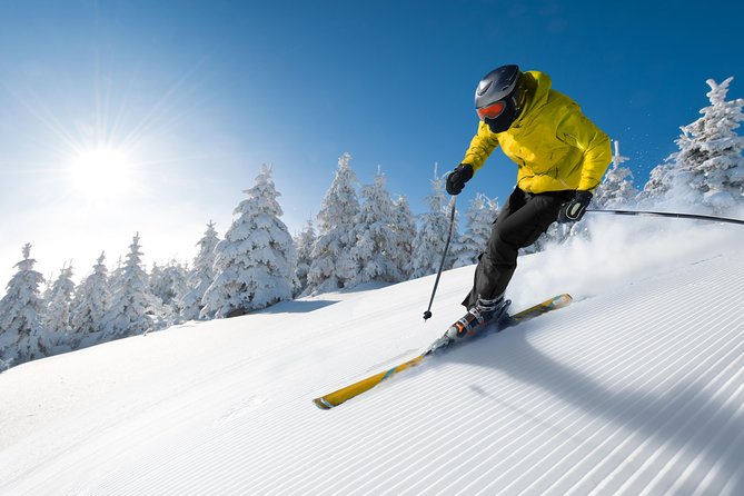 Seoul Ski Tour at Jisan Forest Resort - What non-skiers should consider