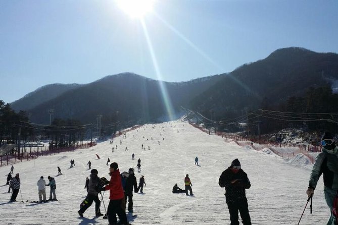 Seoul Ski Tour at Jisan Forest Resort - Is $48.72 good value?