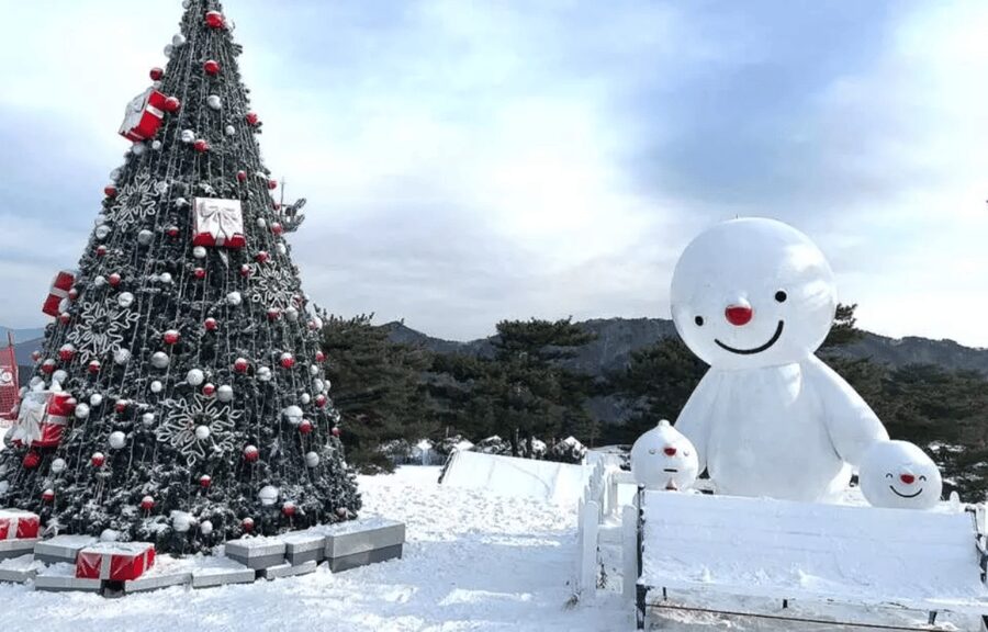 Seoul: SnowyLand in Vivaldi Park with Nami or Alpaca - Cancellation and weather considerations
