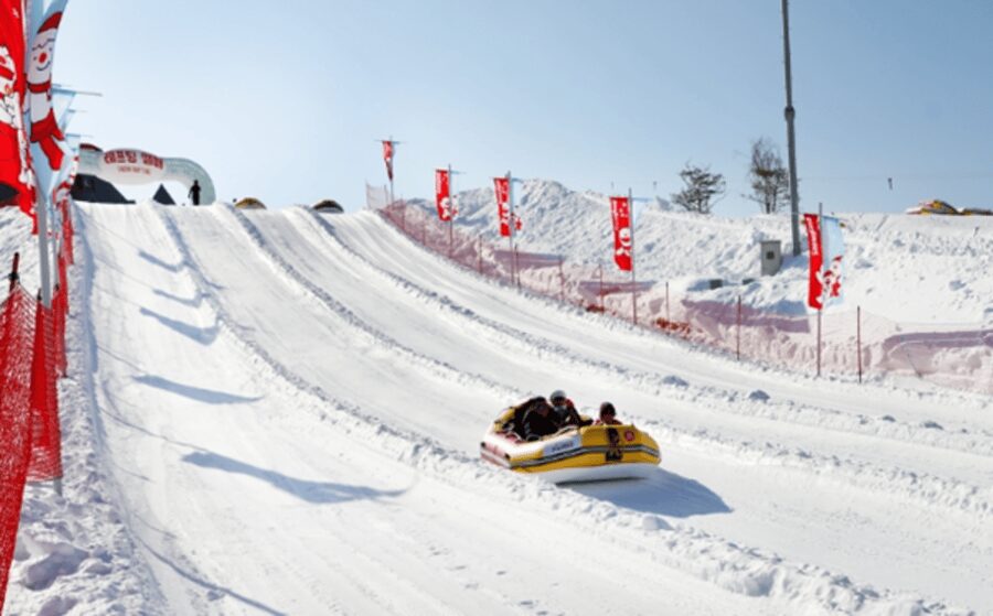 Seoul: SnowyLand in Vivaldi Park with Nami or Alpaca - Snowy Land at Vivaldi Park