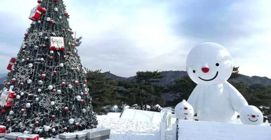 Seoul: SnowyLand in Vivaldi Park with Nami or Alpaca - Choosing Nami Island for a quieter finish