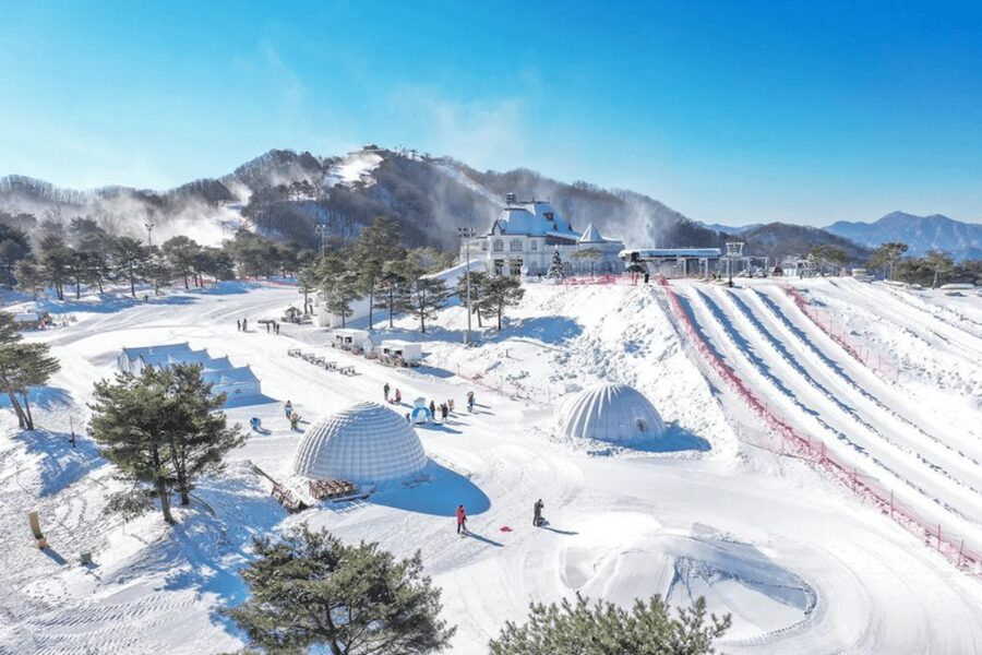 Seoul: SnowyLand in Vivaldi Park with Nami or Alpaca - Guides, pickup, and group planning