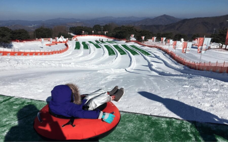 Seoul: SnowyLand in Vivaldi Park with Nami or Alpaca - Reaching Vivaldi Park from Seoul