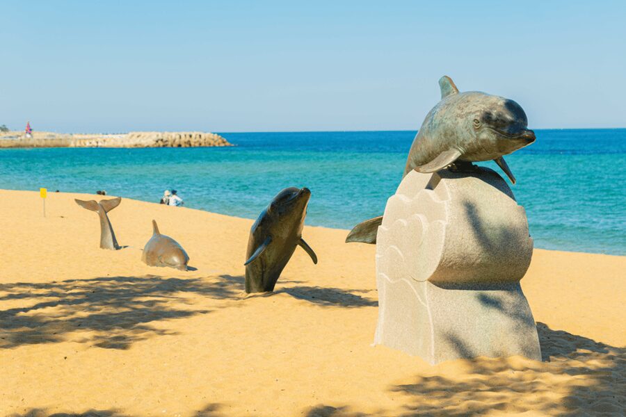 Seoul: Sokcho beach, market, hot spring and Seorak Cable Car - Cheoksan Foot Bath Park gives the day a needed pause