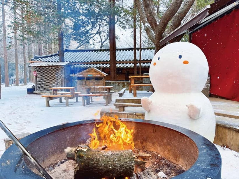 Seoul: Strawberry Picking & Eobi Ice Valley & Nami Island - Transport, timing, and the real cost at $74