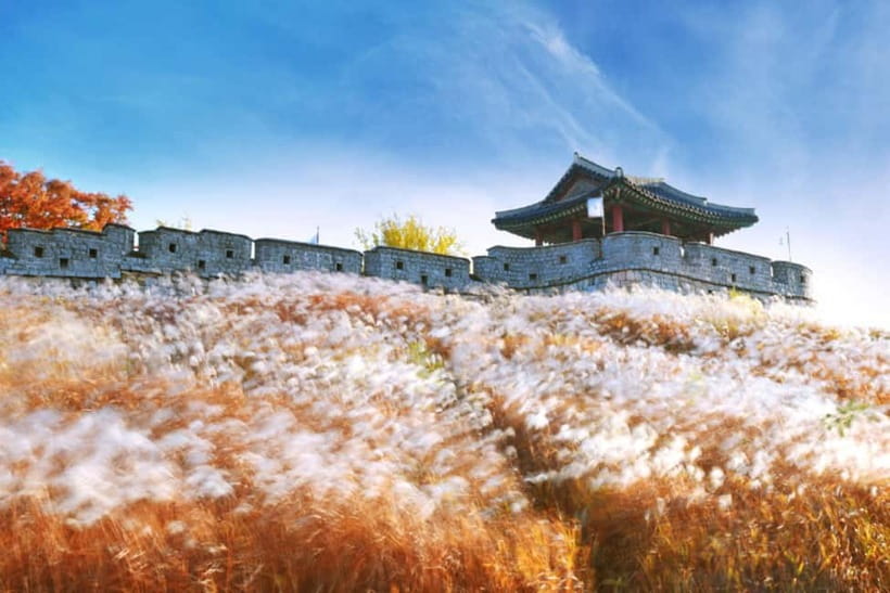 Seoul: Suwon Hwaseong Fortress & Korean Folk Village Tour - Should you book the Korean Folk Village and Suwon tour?