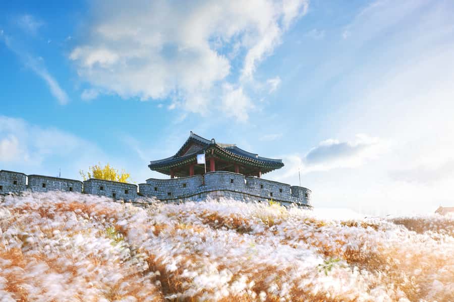 Seoul : Suwon Hwaseong Fortress+Starfield Library+Waujeongsa - Waujeongsa offers a quieter pause