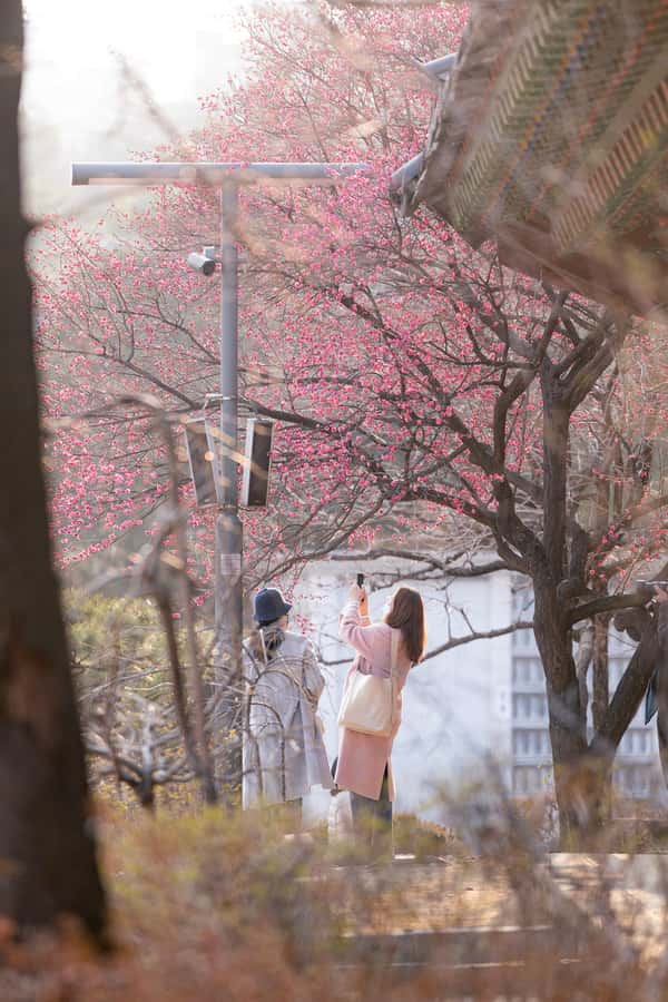 Seoul: Temple & Starfield COEX Mall Gourmet Tour in Gangnam - A compact route for a Seoul evening