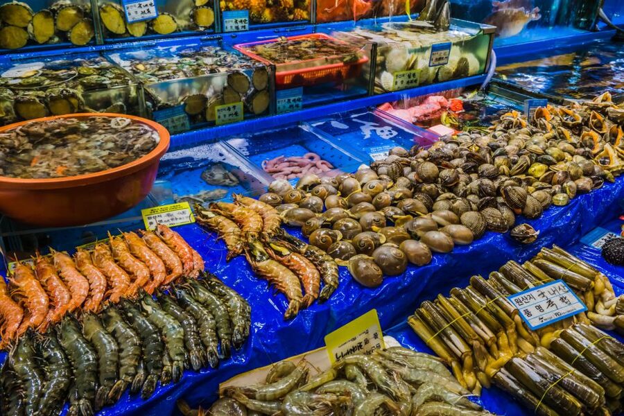 Seoul: The Biggest Sea-food Noryangjin Market Tour - Key points to know before you go