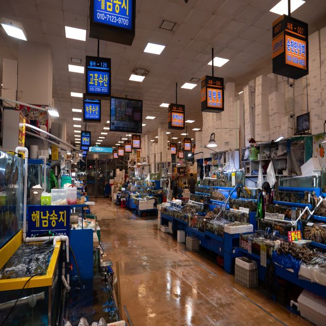 Seoul: The Biggest Sea-food Noryangjin Market Tour - Who should book this market tour?