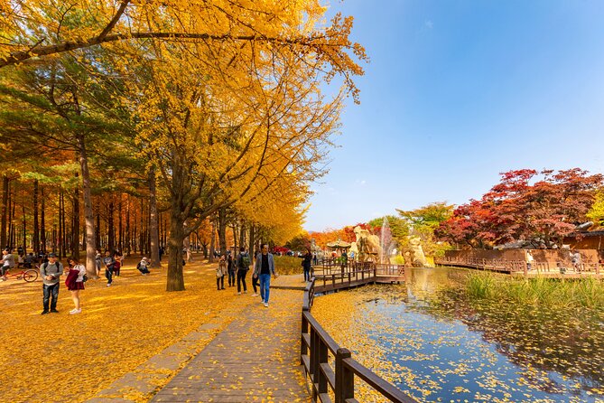 Seoul to/from Nami Island: Round trip Shuttle Bus Service - Five hours among Nami Island’s tree-lined paths