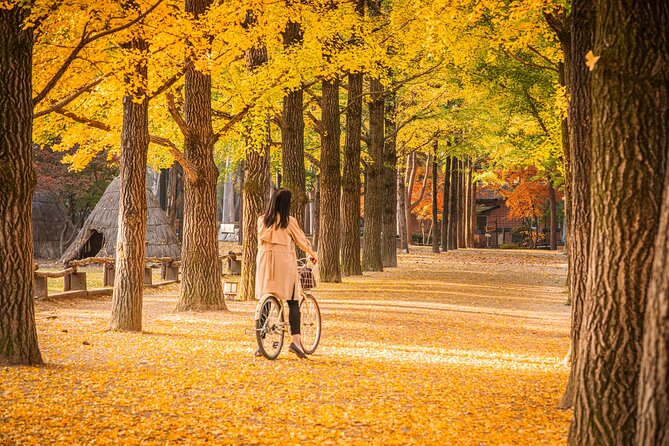 Seoul to/from Nami Island: Round trip Shuttle Bus Service - The return plan requires discipline