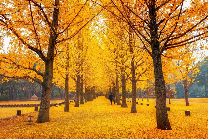 Seoul to/from Nami Island: Round trip Shuttle Bus Service - Who will get the most from this shuttle?