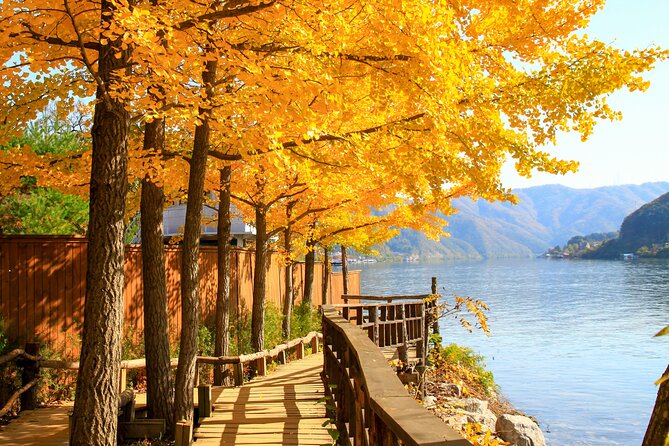 Seoul to/from Nami Island: Round trip Shuttle Bus Service - The 90-minute ride from Seoul