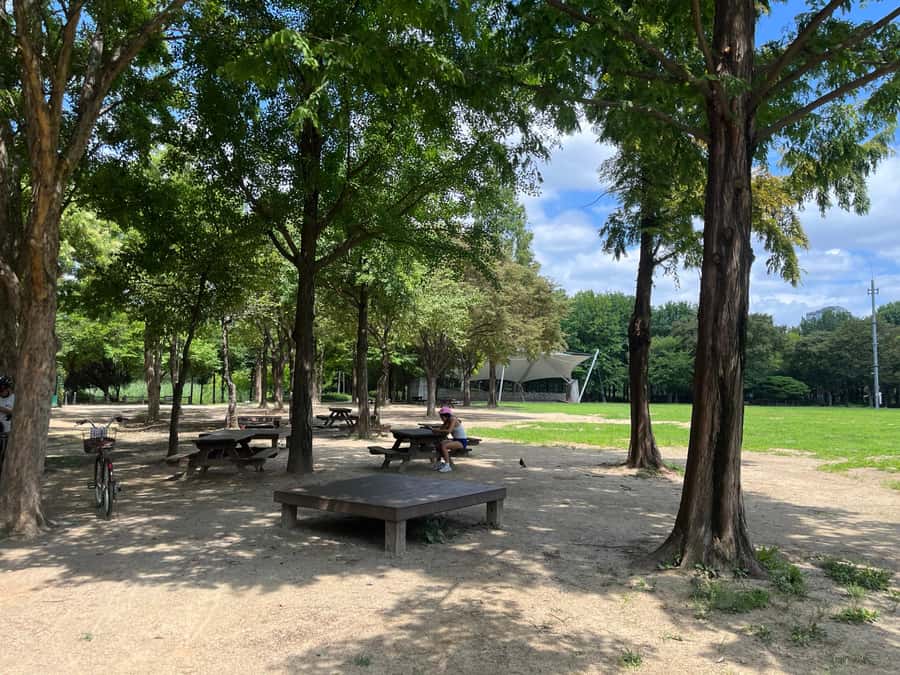 Seoul: Urban Nature Bike Tour along Han River - Meeting details and booking flexibility