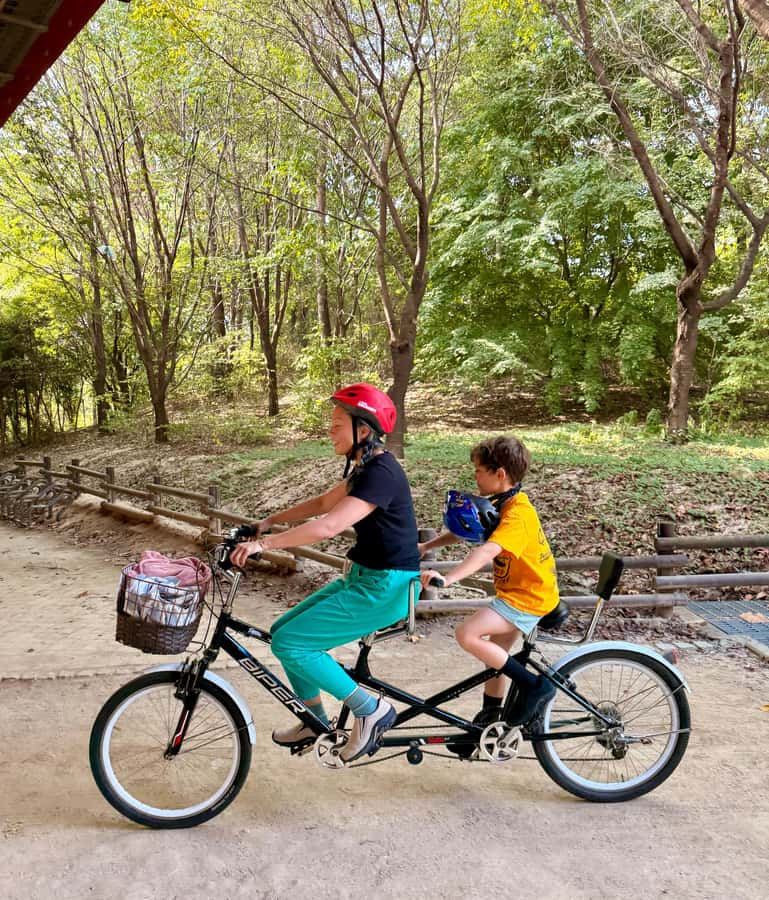 Seoul: Urban Nature Bike Tour along Han River - Starting beside the Han River at Jayang Station