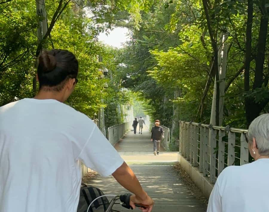 Seoul: Urban Nature Bike Tour along Han River - Seeing Seongsu-dong beyond the trend
