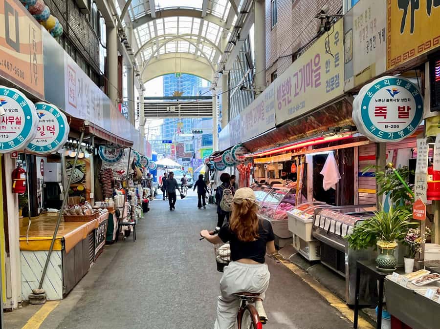 Seoul: Urban Nature Bike Tour along Han River - How difficult is the ride?