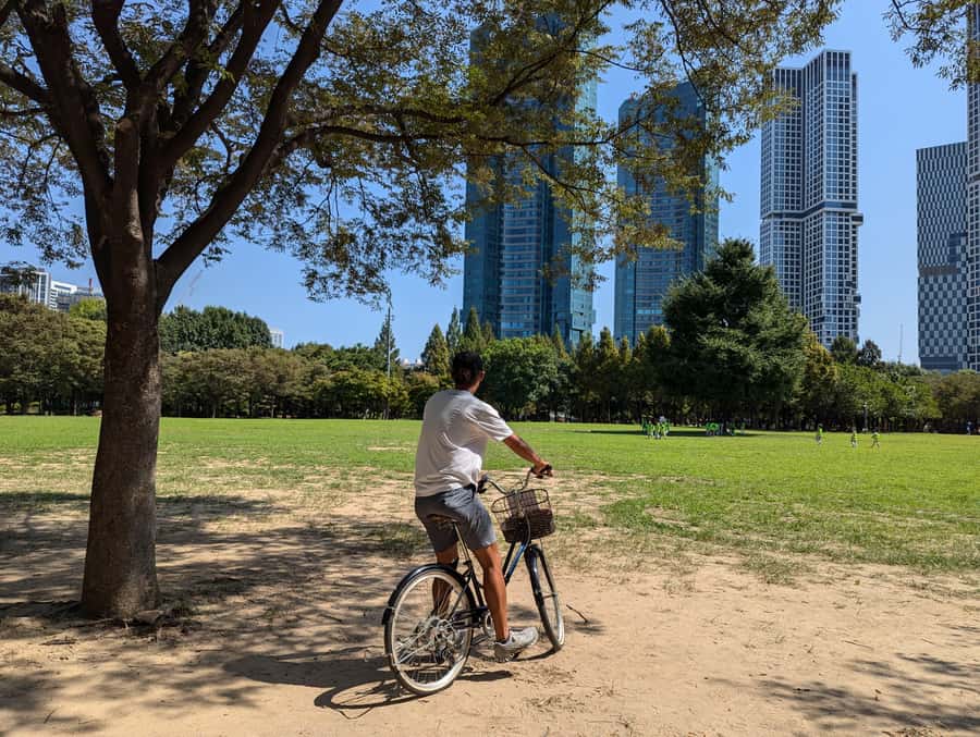 Seoul: Urban Nature Bike Tour along Han River - Who will get the most from this tour?