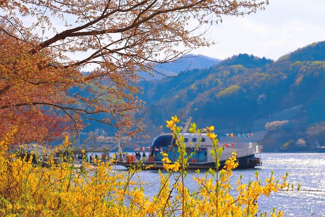 Seoul Vicinity 5 in 1: Nami Island, Garden of Morning Calm & More - Five countryside sights in one very long day