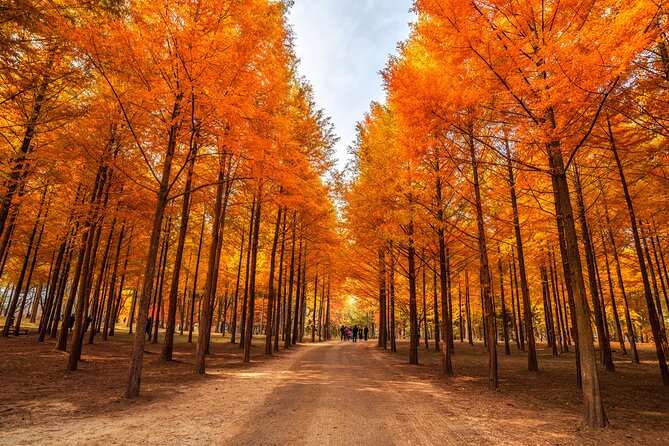 Seoul Vicinity 5 in 1: Nami Island, Garden of Morning Calm & More - Gangchon Rail Park turns an old track into a moving attraction