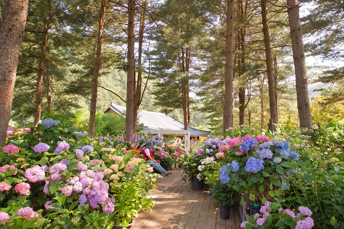Seoul Vicinity 5 in 1: Nami Island, Garden of Morning Calm & More - Petite France and Italia Village in a single hour