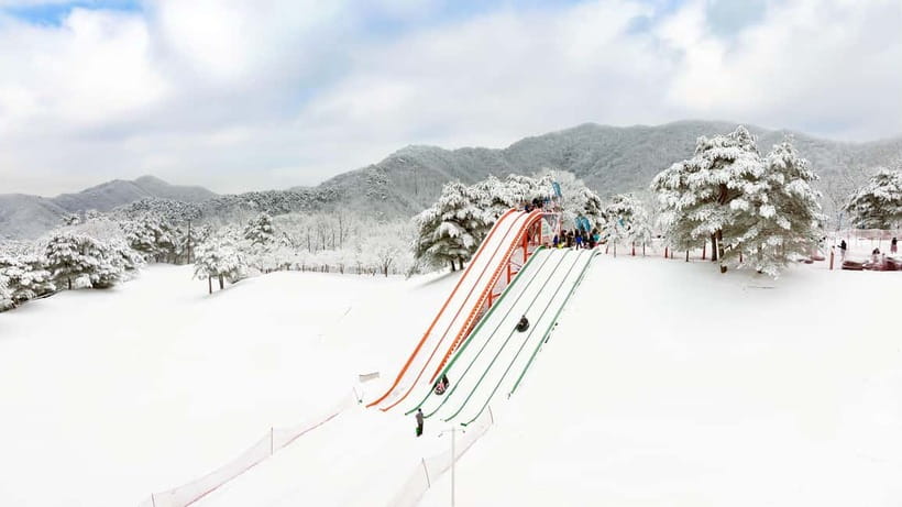 Seoul: Vivaldi Park Winter Ski with Nami Island Day Tour - Who should book this winter day trip?