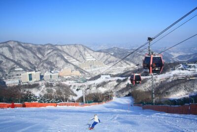 Vivaldi Park Winter Ski with Nami Island Day Tour