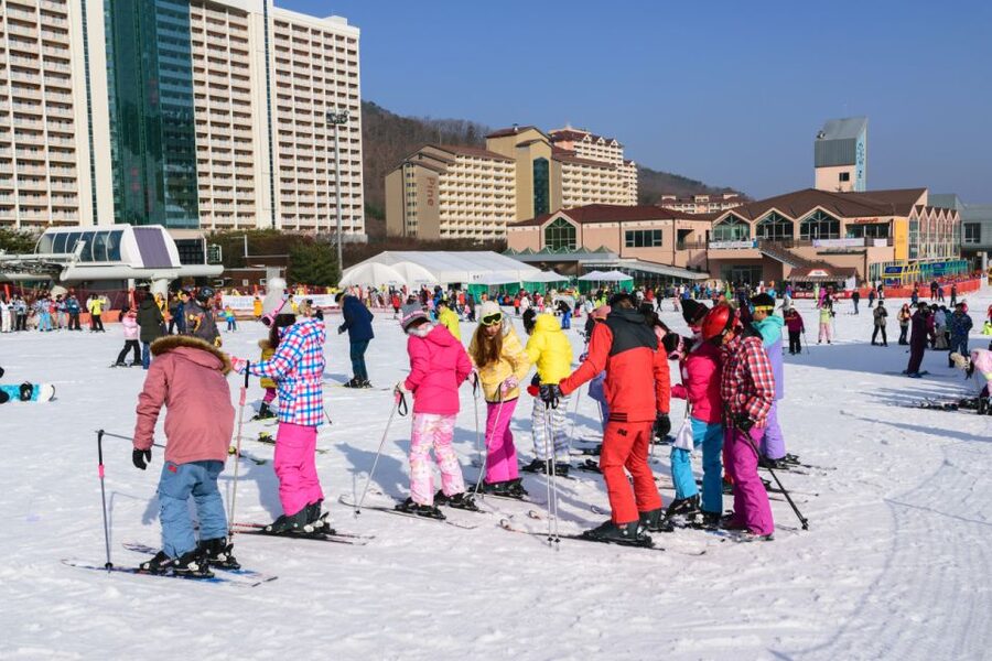 Seoul: Vivaldi Park Winter Ski with Nami Island Day Tour - Four ways to use your time at Vivaldi Park