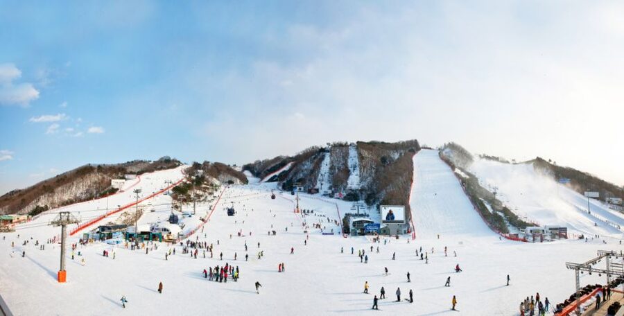 Seoul: Vivaldi Park Winter Ski with Nami Island Day Tour - From ski slopes to Nami Island