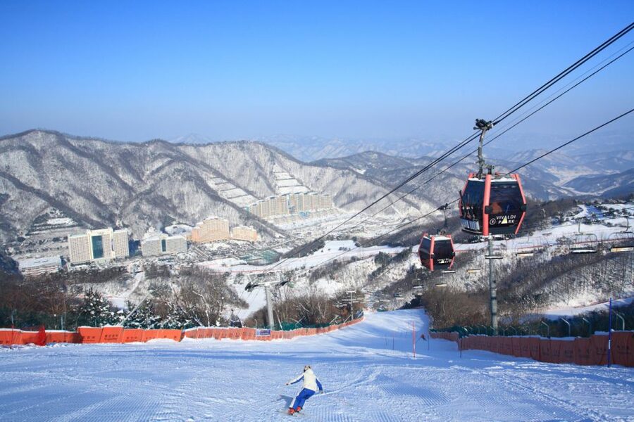 Seoul: Vivaldi Park Winter Ski with Nami Island Day Tour - Starting from central Seoul
