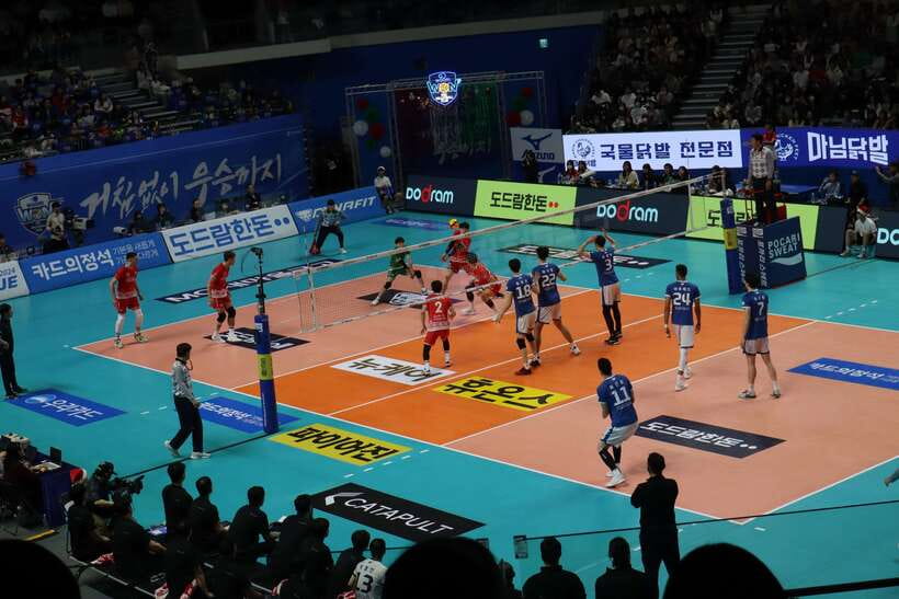 Seoul: Watching Sports Match & Local Food Experience - Key points for deciding quickly