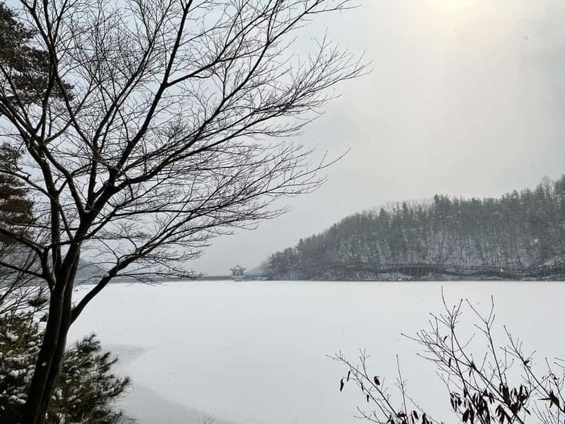 Seoul: Winter Day Tour in Pocheon (+Strawberry Picking) - Key points at a glance