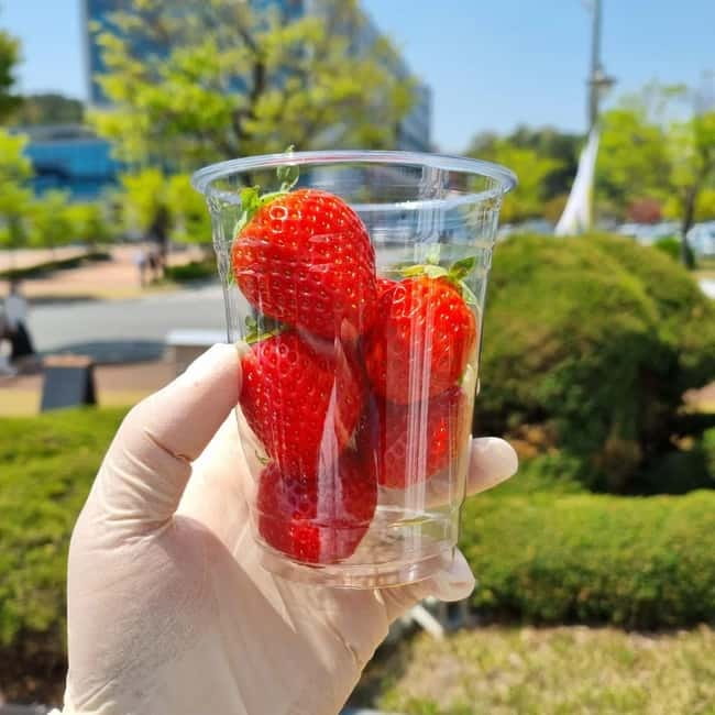 Seoul: Winter Day Tour in Pocheon (+Strawberry Picking) - Why Pocheon works as a winter day trip