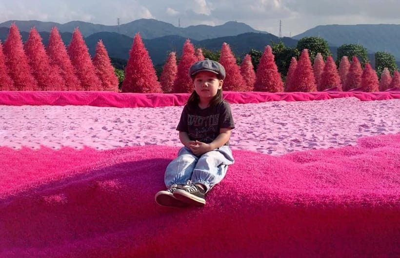 Seoul: Winter Day Tour in Pocheon (+Strawberry Picking) - Strawberry picking brings a taste of Korean farm life
