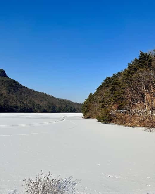 Seoul: Winter Day Tour in Pocheon (+Strawberry Picking) - Starting from Seoul with three pickup choices