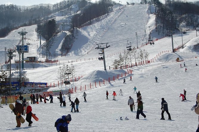 Ski Tour to Jisan Ski Resort from Seoul - Who will get the most from this tour