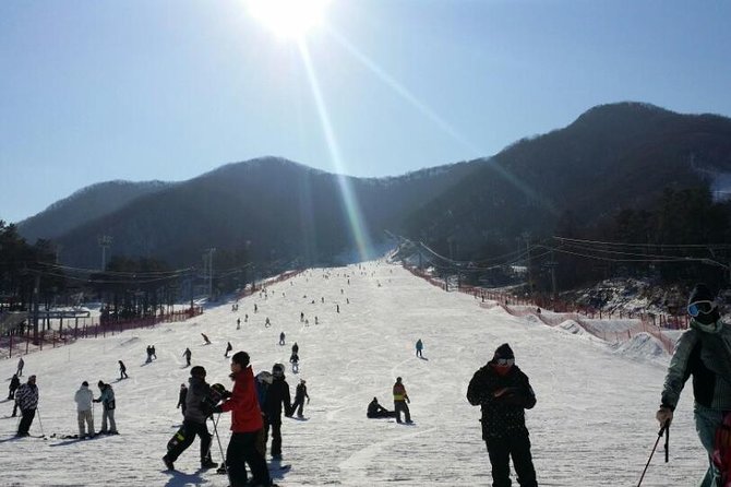 Ski Tour to Jisan Ski Resort from Seoul - Three ways to spend your snow time