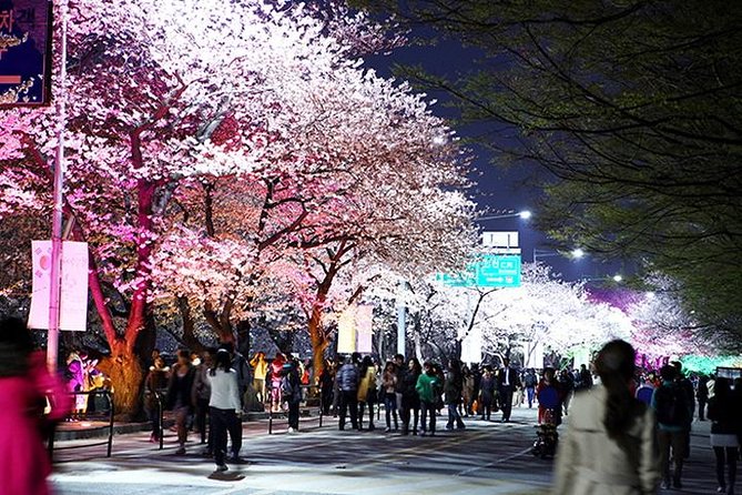 Small Group 7D Korea package Tour with Seoul Gyeongju Busan Jeju - Day 4: Silla treasures in Gyeongju, then KTX to Seoul